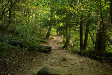scenes alongtheu foot path in Mohican state forest in Ohio