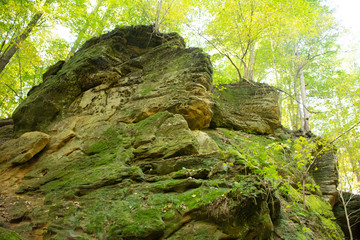 scenes alongtheu foot path in Mohican state forest in Ohio