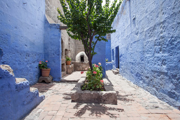 Courtyard with blue walls and a tree in the center in the monastery of Saint Catalina, Arequipa, Peru