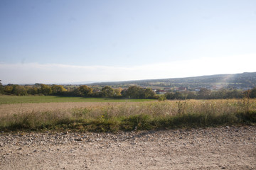 view to the field in summer