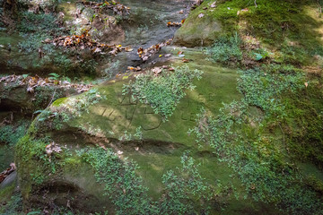 scenes alongtheu foot path in Mohican state forest in Ohio