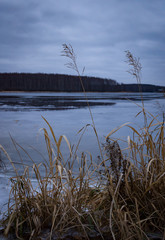 Winter landscape: ice river and forest