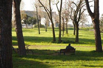 Obraz na płótnie Canvas peace and tranquility in the park, in the background the majestic Roman aqueduct
