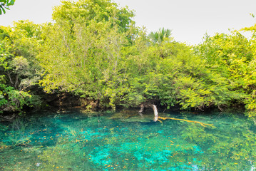 Tropical lake with clear water in natural forest of Indigenous Eyes Ecological Park and Reserve...
