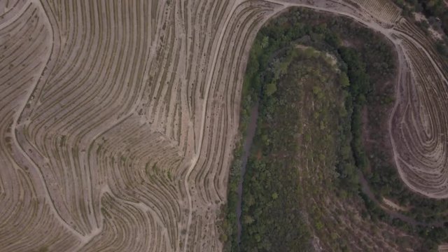 Douro from above