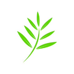 Branch with green leaves isolated on white. Vector illustration.