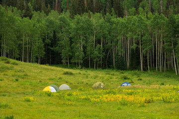 Camping in the Wasatch Mountains 