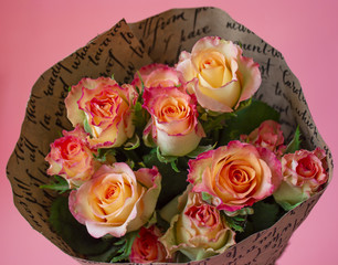 Beautiful rose flower in garden. Rose flower background. Roses flower texture. Lovely rose. Pink...