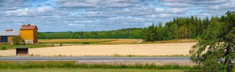 Finland agriculture landscape panorama with backcountry road, bus stop, green-yellow cereals field...
