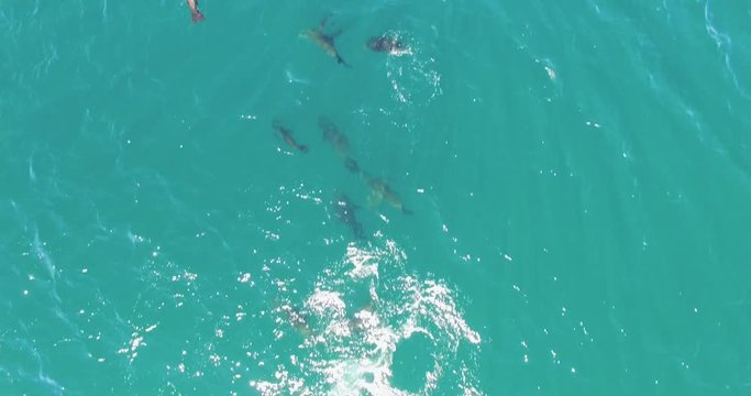 Drone view