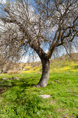 Landscape of the Montes de Toledo.