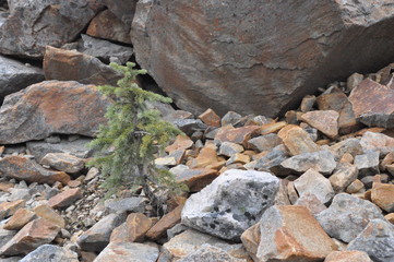 Perseverance