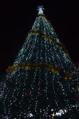 Pino de navidad con luces por la noche