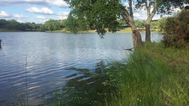 Barragem no Alentejo
