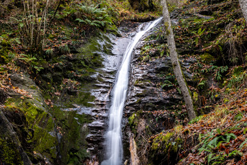 Arroyo_3
