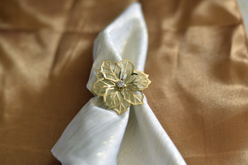 Dinner Place Setting with Napkin