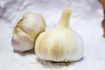 Garlics on white background.