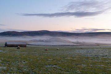 Fototapeta premium Orkney frost Loch