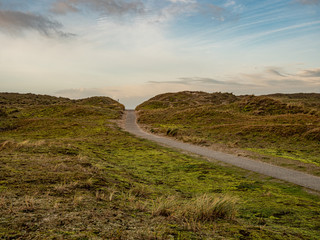 Norderney, Germany. 7 December 2019. Grassy dunee under cloudy sky on the island of Norderney in...