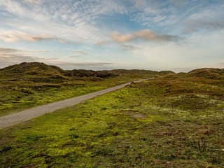 Fototapeta premium Norderney, Germany. 7 December 2019. Grassy dunee under cloudy sky on the island of Norderney in the late winter sun.