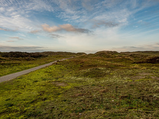 Norderney, Germany. 7 December 2019. Grassy dunee under cloudy sky on the island of Norderney in...