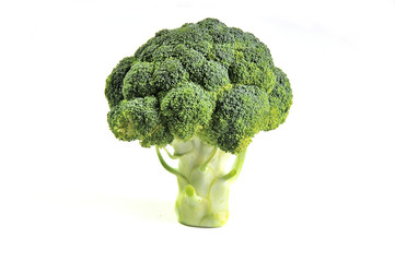 Broccoli vegetable isolated on white background