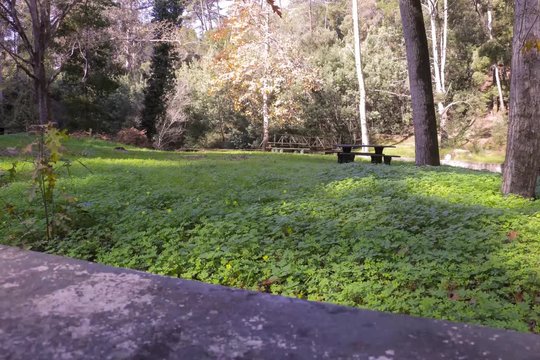 Pinhal do Rei - Timelapse
