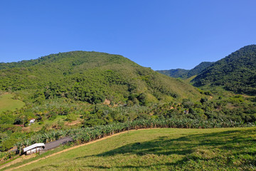 Fototapeta na wymiar Typical landscape of brazilian farmland in the region of Minas Gerais, Brazil