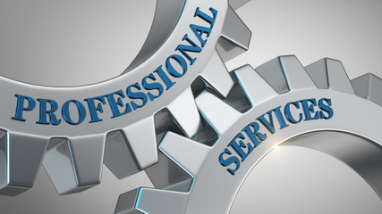 Professional services concept. Words professional services written on gear wheels.