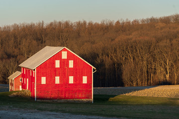Obraz premium Red Barns and Farm Fields in a Winter Sunset