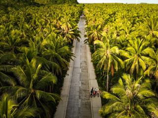  Palm Tree Road in Siargao, The Philippines