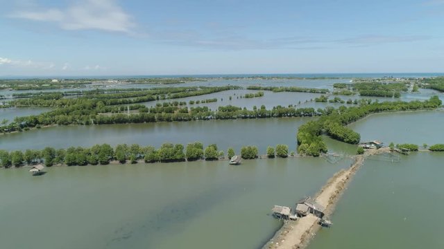 Town in cultivated mangroves, Ubagan, sto tomas. Fish farm with cages for fish and shrimp in the Philippines, Luzon. Aerial view of fish ponds for bangus, milkfish. Fish cage for tilapia, milkfish far