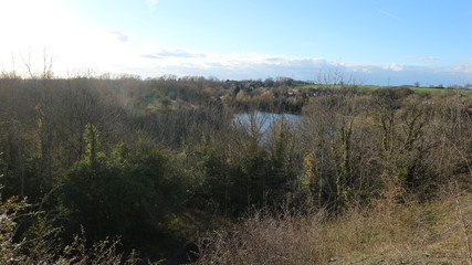 Obraz premium Lake near a forest in Rugby United Kingdom