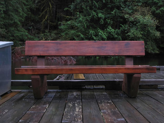 Wet Rainforest Bench with water drops