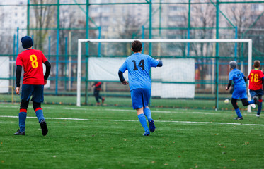 Boys in red and blue sportswear plays football on field, dribbles ball. Young soccer players with ball on green grass. Training, football, active lifestyle for kids concept