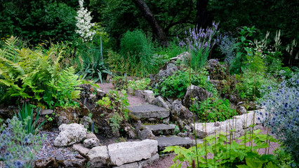 Stone green backyard garden in japanese style