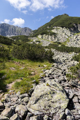The Camel (Kamilata) peak, Rila Mountain, Bulgaria