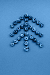 Blueberry Christmas tree on a blue background. New Year concept.