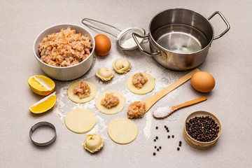 Fish dumplings. Ingredients for home cooking. Fresh dough, fish, spices, cooking equipment. Stone concrete background