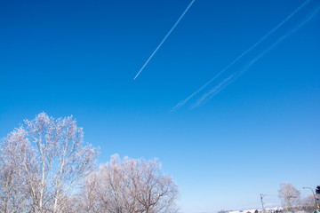 冬の青空と飛行機雲