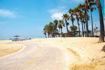 Beach with Palm Trees Venice  Los Angeles