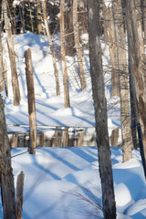 冬の湖　美瑛町