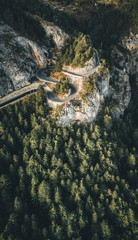 curve road on the mountain with green forest during autumn
