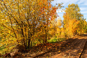 Fototapeta premium Landscape with impassable road with autumn trees