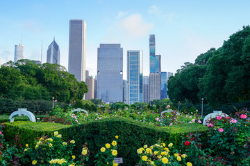Fototapeta premium Chicago skyline sitting behind flowers and greenery at a park