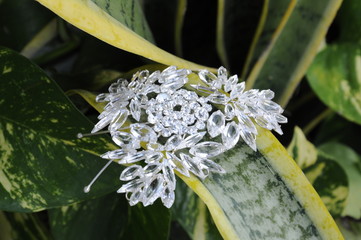 crystal brooch