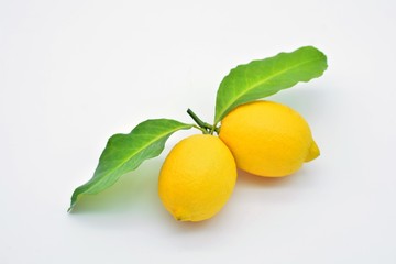 Un par de limones recién cogidos del árbol