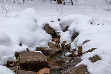 Winter forrest river