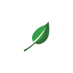 Leaf Mint Logo Template vector symbol