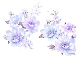 Fototapeta na wymiar Combination of watercolor flower elements